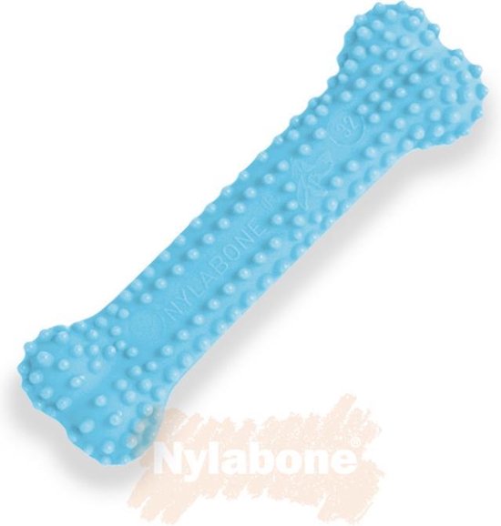Nylabone Puppy kauwbot voor wisselgebit met kipsmaak In roze of blauw - XS - Blauw - Nylabone