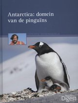 Expeditie dierenwereld antarctica, domein van de pinguins