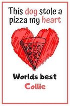 This Dog Stole A Pizza My Heart Worlds Best Collie: Cute Collie Dog Diaries Card Quote Journal / Notebook / Diary / Greetings / Appreciation Gift (6 x