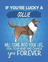 If You're Lucky A Collie Will Come Into Your Life, Steal Your Heart And Change You Forever