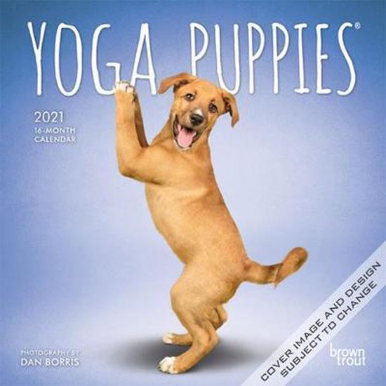 Yoga Puppies 2021 Calendar