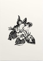 Bosrank zwart-wit (apple bossom) - Foto op Posterpapier - 42 x 59.4 cm (A2)
