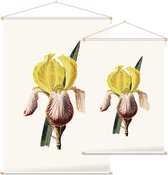 Iris (Iris White) - Foto op Textielposter - 120 x 180 cm