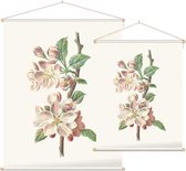 Clematis Armandii (Apple Blossom) - Foto op Textielposter - 120 x 160 cm