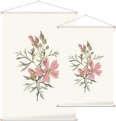 Muskuskaasjeskruid (Musk Mallow) - Foto op Textielposter - 120 x 180 cm