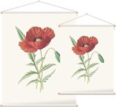 Grote Klaproos (Scarlet Poppy) - Foto op Textielposter - 90 x 120 cm
