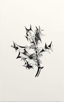 Hulst zwart-wit (Holly) - Foto op Forex - 60 x 90 cm