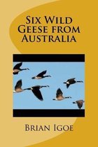 Six Wild Geese from Australia