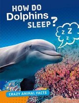 How Do Dolphins Sleep