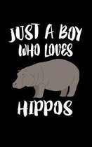 Just A Boy Who Loves Hippos