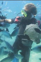 Scuba Diving Log: Divers Log with prompted pages to record 120 dives.