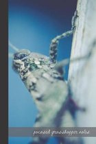 Focused Grasshopper Notes: small lined Grasshopper Notebook / Travel Journal to write in (6'' x 9'') 120 pages
