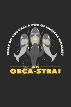 Orca-stra