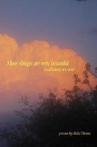 many things are very beautiful (and many are not)
