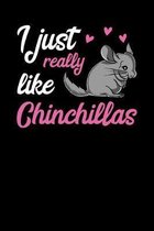 I Just Really Like Chinchillas