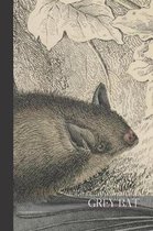 Grey Bat: small lined Bat Notebook / Travel Journal to write in (6'' x 9'') 120 pages