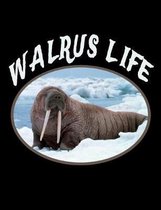 Walrus Life