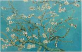 Amandelbloesem, Vincent van Gogh - Foto op Forex - 150 x 100 cm