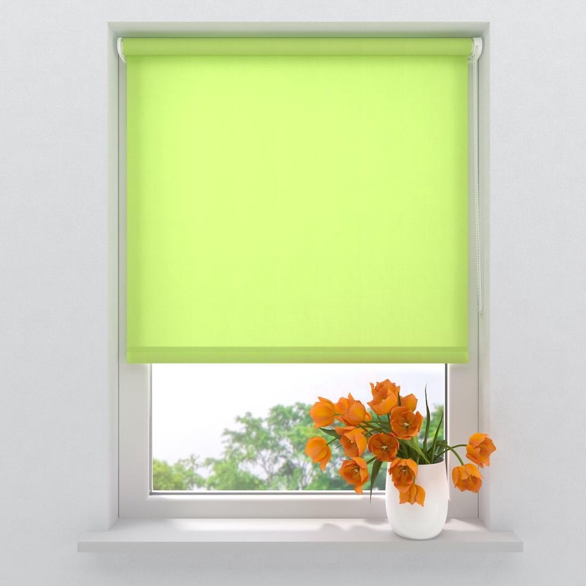 Rolgordijn Easy Mini - Lichtdoorlatend - Green - 75x150