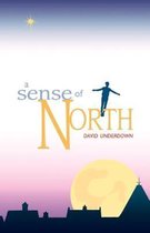 Sense of North, A