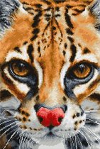 Borduurpakket OCELOT - LUCA-S