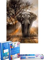 Crafterman™ Diamond Painting Pakket Volwassenen - Prachtige Olifant- 40x50cm - volledige bedekking - vierkante steentjes - Met tijdelijk 2 E-Books