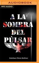 a la Sombra del Pulsar