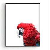 Postercity - Design Canvas Poster Papagaai Rood / Kinderkamer / Jungle - Dieren Poster / Babykamer - Kinderposter / Babyshower Cadeau / Muurdecoratie / 70 x 50cm