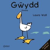 Gwydd/Goose