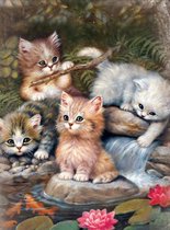 Diamond painting katten set - katten - dieren - hobby - volledig - vierkanten stenen - 30 cm bij 40 cm - volwassenen en jongeren