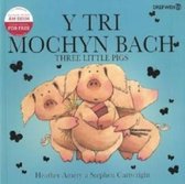 Tri Mochyn Bach, Y / Three Little Pigs