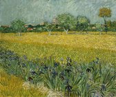 Vincent van Gogh, Veld Met Irissen Bij Arles, 1888 op canvas, 30 X 45 CM