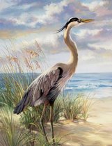 Diamond Painting - Volwassenen - Dieren - Reiger - Vogel - Complete set - 40 x 30 cm