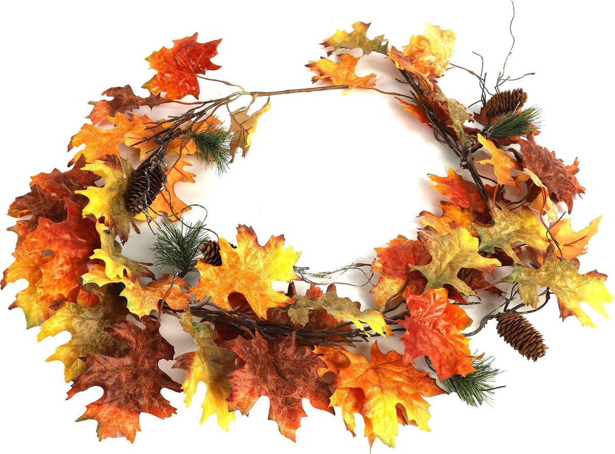 Quercus Garland bruin