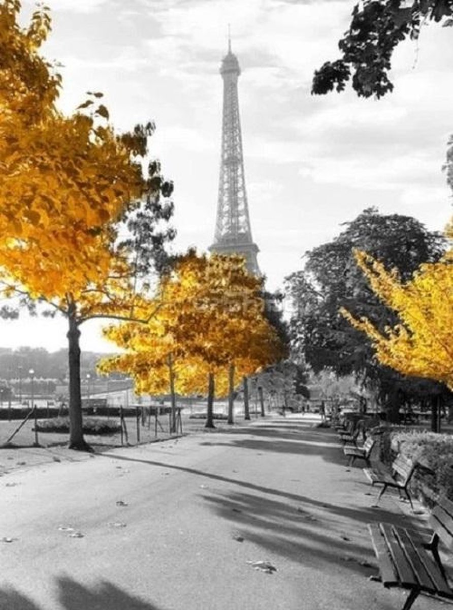 Evershine diamond painting voor volwassenen Eiffel toren TA4-4921 vierkante steentjes 30 X 40