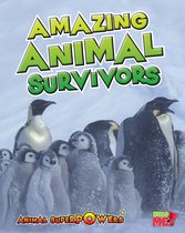 Animal Superpowers - Amazing Animal Survivors