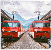 WallClassics - Tuinposter – Twee Treinen bij Station - 50x50 cm Foto op Tuinposter (wanddecoratie voor buiten en binnen)