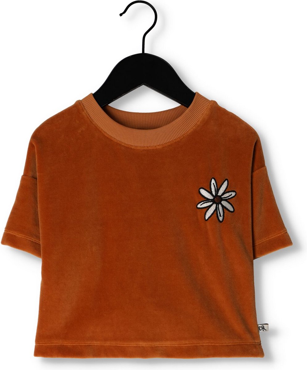 Carlijnq Flower - Cropped Crewneck T-shirt Wt Embroidery Tops & T-shirts Meisjes - Shirt - Cognac - Maat 110/116