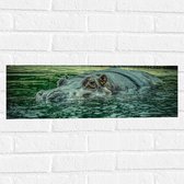 WallClassics - Muursticker - Zwemmend Nijlpaard - 60x20 cm Foto op Muursticker