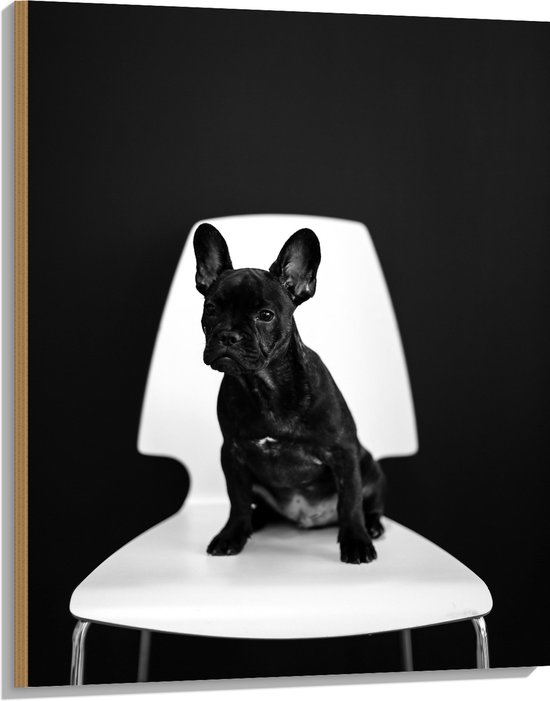 WallClassics - Hout - Zwarte zittende Hond op Witte Stoel - 75x100 cm - 9 mm dik - Foto op Hout (Met Ophangsysteem)