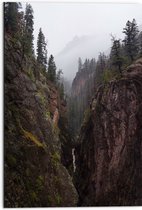 Dibond - Berglandschap met Bossen - 50x75 cm Foto op Aluminium (Met Ophangsysteem)