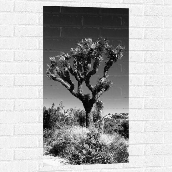 Muursticker - Boom tussen Planten - Zwart Wit - 50x100 cm Foto op Muursticker
