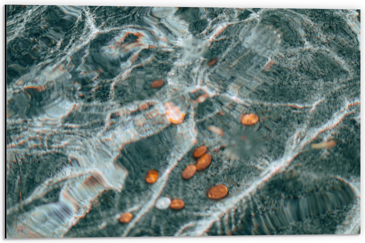 Dibond - Kleingeld op Bodem van Fontein - 60x40 cm Foto op Aluminium (Wanddecoratie van me