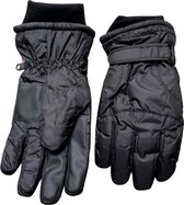 Skihandschoenen heren - Wintersport handschoenen - Thinsulate gevoerd - winddicht - XXL