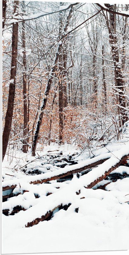 PVC Schuimplaat - Bos onder Gesneeuwd - 50x100 cm Foto op PVC Schuimplaat (Met Ophangsysteem)