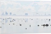 WallClassics - PVC Schuimplaat - Mist bij Skyline achter Meer met Vogels - 90x60 cm Foto op PVC Schuimplaat (Met Ophangsysteem)