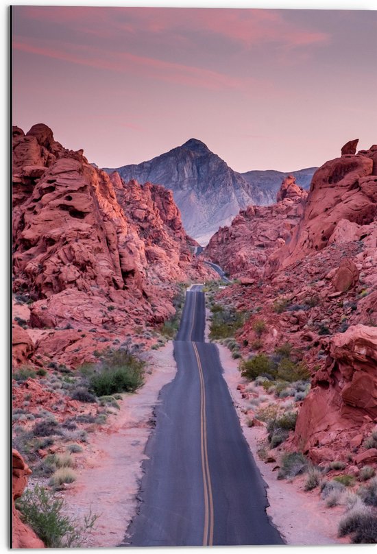 WallClassics - Dibond - Weg in Valley of Fire State Park in Nevada - 50x75 cm Foto op Aluminium (Met Ophangsysteem)