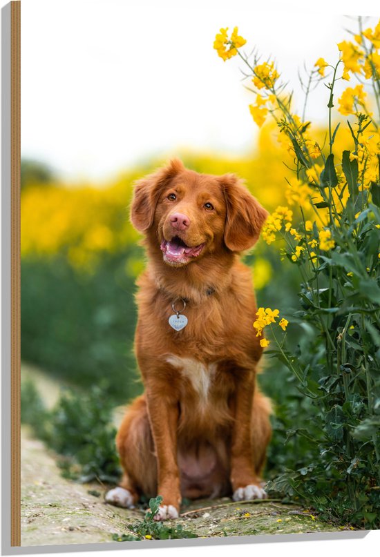 WallClassics - Hout - Bruine Hond naast Gele Bloemen - 70x105 cm - 9 mm dik - Foto op Hout (Met Ophangsysteem)
