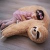 MikaMax Sloth Pillow – Origineel XL – 60 cm – Polyester knuffel – Luiaard knuffel - Baby Cadeau
