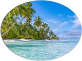 Dibond Ovaal - Tropisch Strand met Palmbomen - 96x72 cm Foto op Ovaal (Met Ophangsysteem)